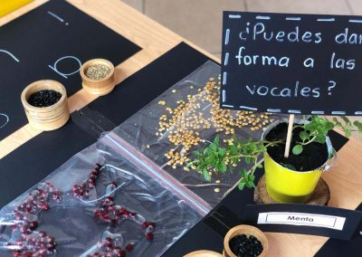 Olivos-school-aprendizaje-proyectos-escuela-valle-chillos-ambiente-natural