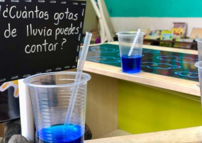 Olivos-school-aprendizaje-proyectos-provocador-escuela-valle-chillos-ambiente-natural