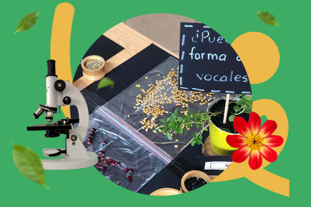 Olivos-School-Escuela-Valle-de-los-chillos-preschool-pedagogia